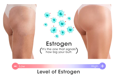 Furzero™ PhytoFemme Curve Enhance Butt Cream - Image 7