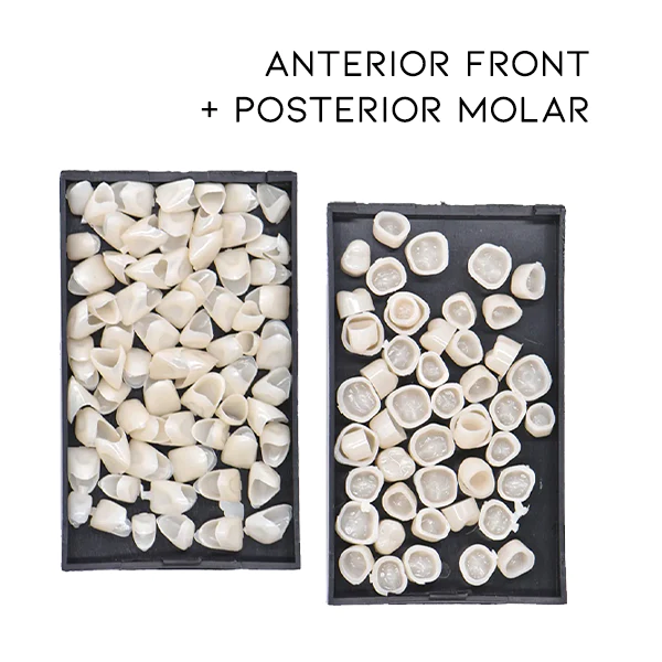 Oveallgo™ Dental Temporary Crown Veneers - Image 9