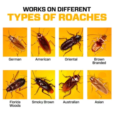 QuikCatch RoachAce Bait Station - Image 8