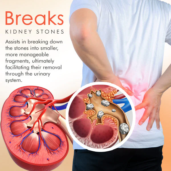 Seurico™ Kidney Care Patch - Image 3