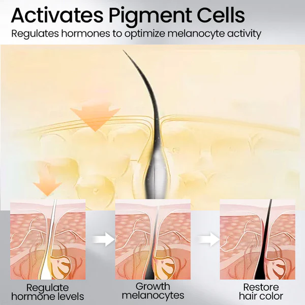 Ceoerty™ Black Mirage Darkening Shampoo - Image 6