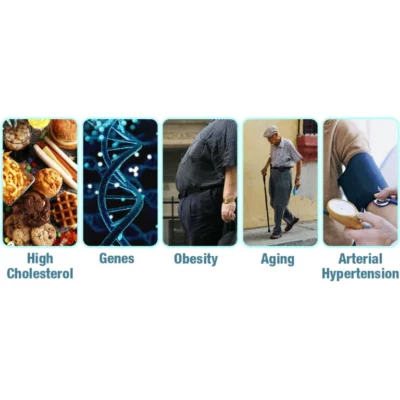 GFOUK™ GlucoCare Electric Pulse Balancing Device - Image 8