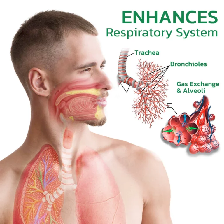 AAFQ™ Organic Herbal Lung Repair Nasal Spray - Image 5