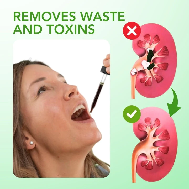 Fivfivgo™ Nieren-Boost-Tropfen - Image 5