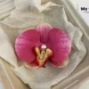 Butterfly Orchid Flower Hair Clips