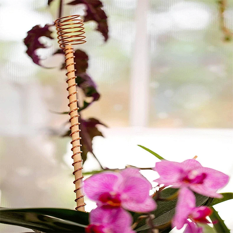 One Thread - Electro Culture Copper Antenna - Image 8