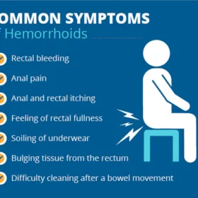 Nurbini™Herbal Strength Hemorrhoid Capsules - Image 4