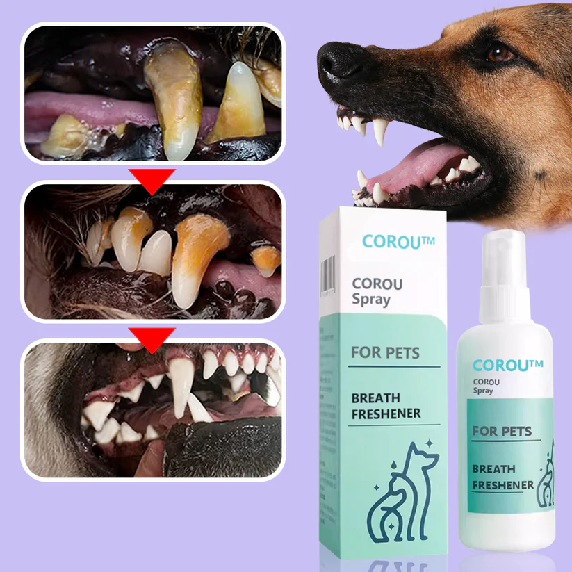 ADFIRE® Pet Teeth Cleaning Spray - Image 4