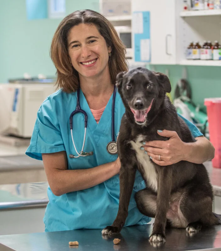 PawElite™ Flea & Tick Pet Drops - Image 4