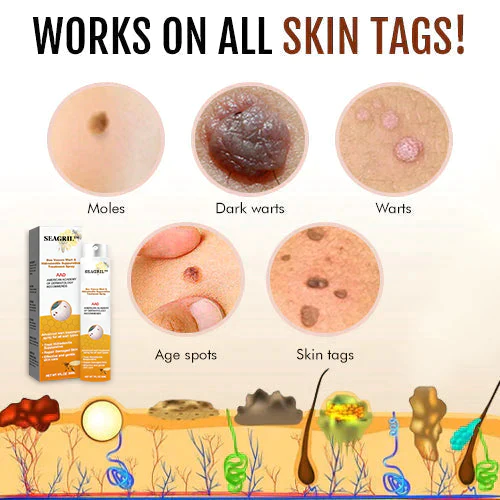 SEAGRIL π©ππ π½ππππ πΎπππ πππ
π»πππ πΉππππππ π»ππππππππ πΊππππ - Image 4