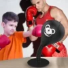 Boxing Desktop Speed Ball
