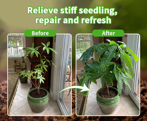 Biovegie™ HyperGrowth-Pro Plant Growth Hormone - Image 6