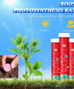 General purpose slow-release organic fertilizer for plants