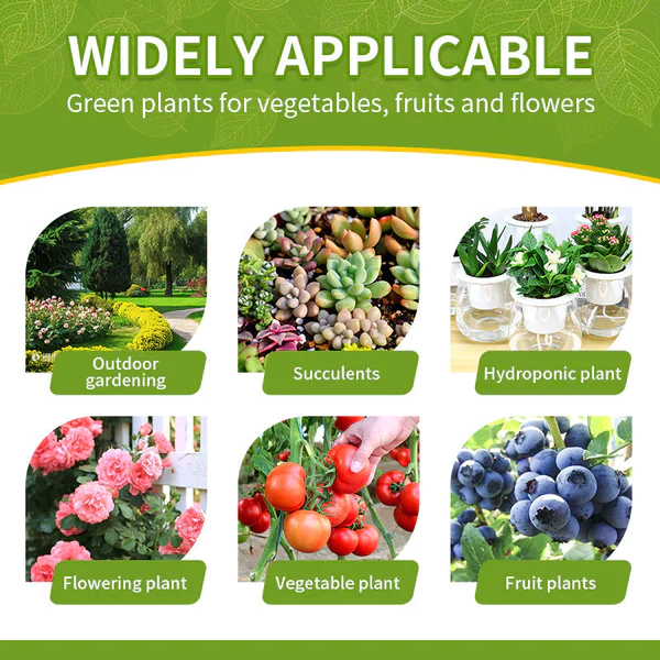 Biovegie™ HyperGrowth-Pro Plant Growth Hormone - Image 14