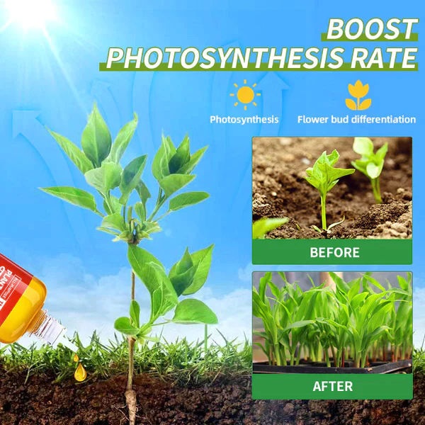 Biovegie™ HyperGrowth-Pro Plant Growth Hormone - Image 13