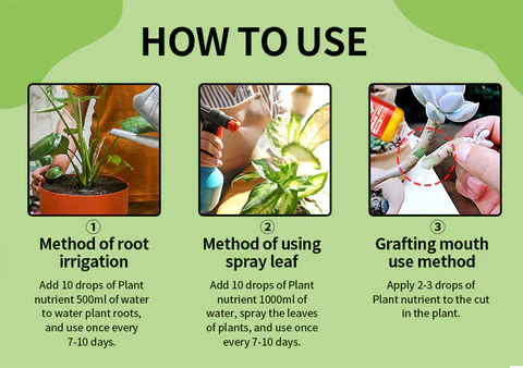Biovegie™ HyperGrowth-Pro Plant Growth Hormone - Image 11