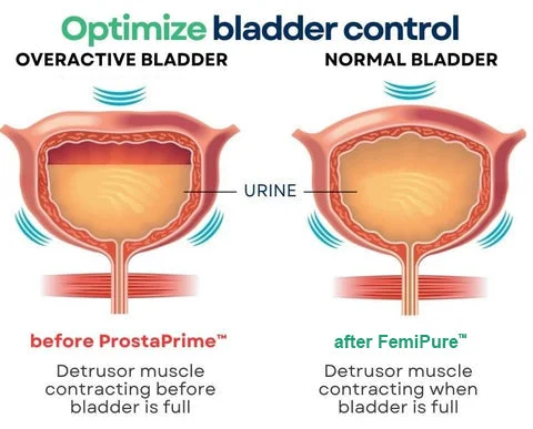 FemiPure™ Prostate Therapy Capsules - Image 15