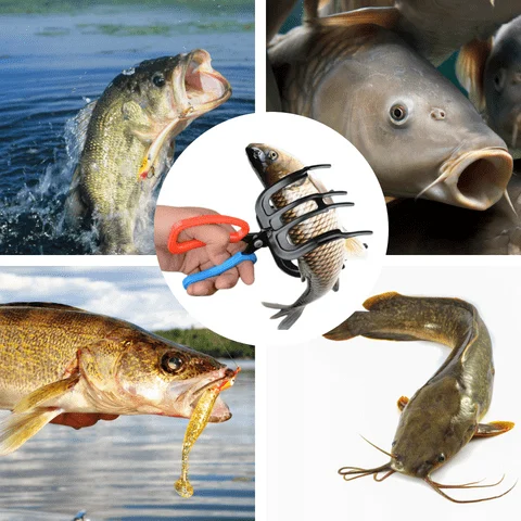 Fishing Pliers - Image 8