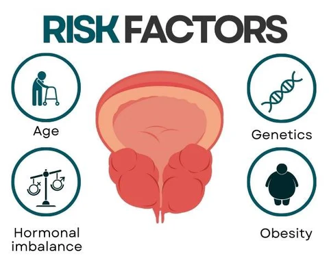AEXZR™ Prostate Care Point Clip - Image 15