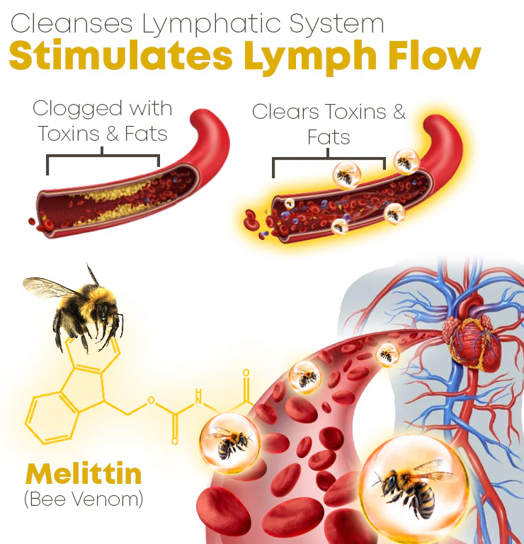 GFOUK™ Biabilly Bee Venom Detox Cleansing Pads - Image 8