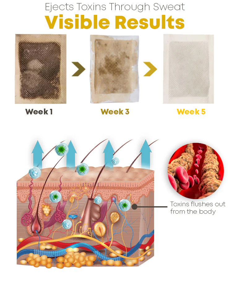 GFOUK™ Biabilly Bee Venom Detox Cleansing Pads - Image 7