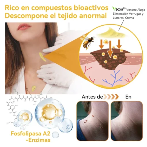 ๐ฝ๐๐๐๐โข ๐ฝ๐๐๐๐๐ ๐จ๐๐๐๐ ๐ฌ๐๐๐๐๐๐๐๐รณ๐ ๐ฝ๐๐๐๐๐๐๐ ๐ ๐ณ๐๐๐๐๐๐ ๐ช๐๐๐๐ - Image 5