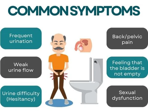 AEXZR™ Prostate Care Point Clip - Image 3