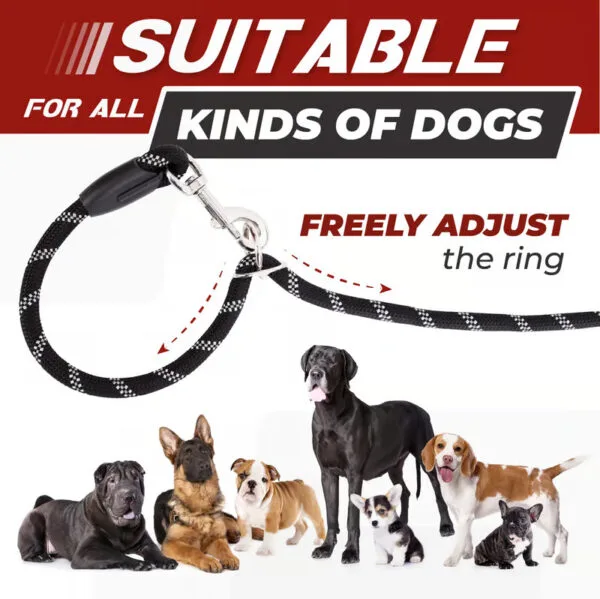 Hands-Free Dog Leash - Image 4