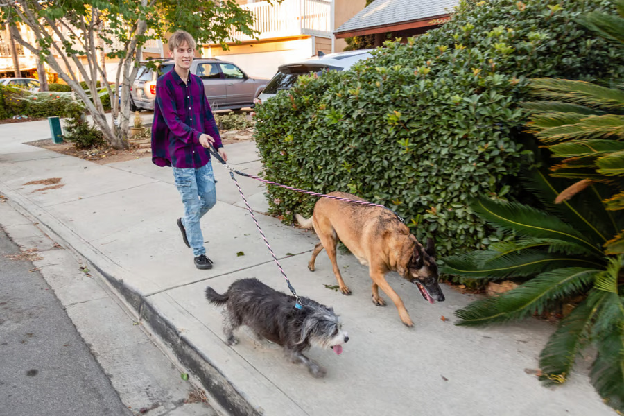 No Tangle Leash for Two Dogs - Image 10