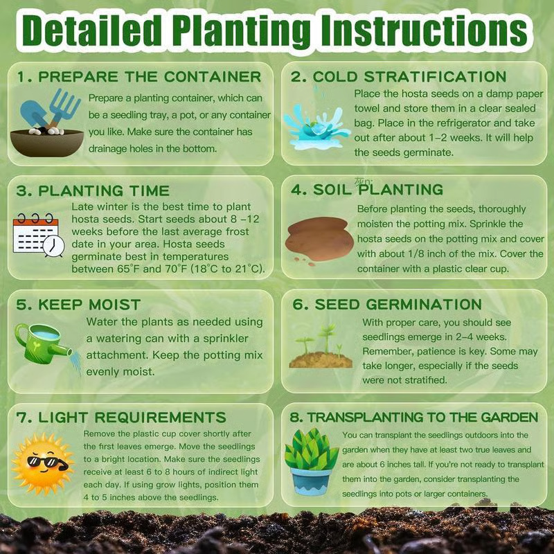 Shade-Loving Perennial Flower Seeds - Image 5